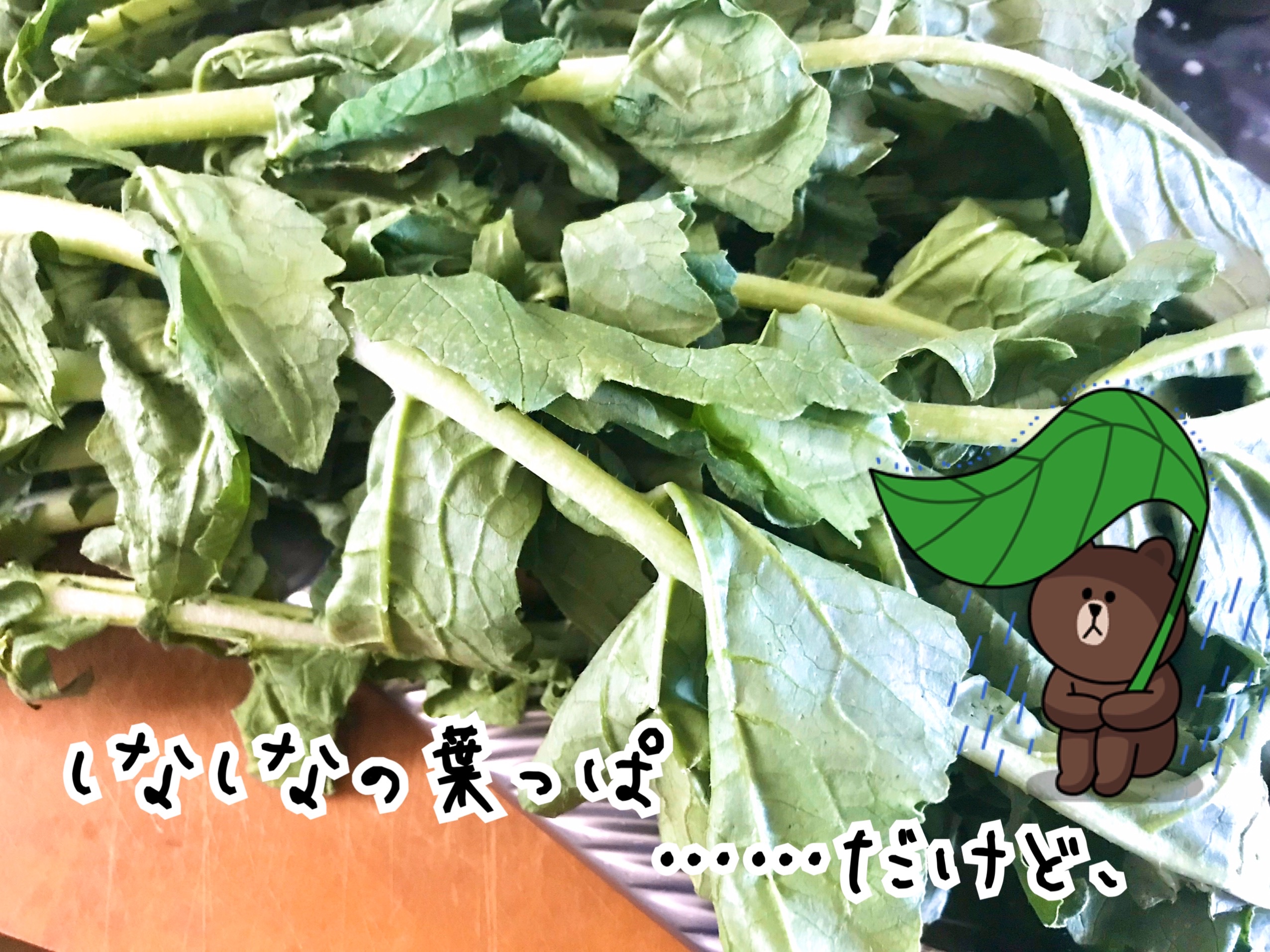 大根の葉レシピ