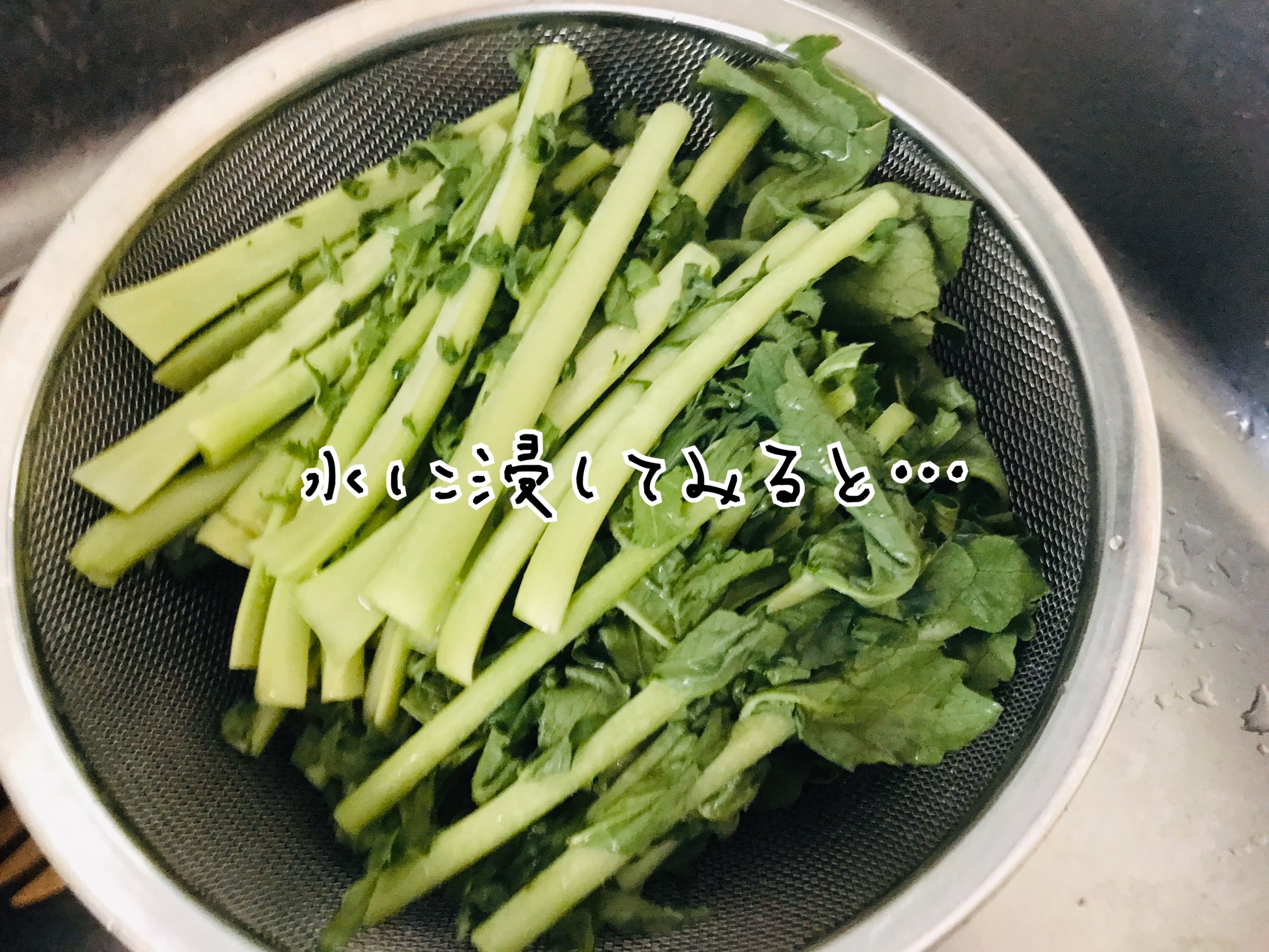 大根の葉レシピ