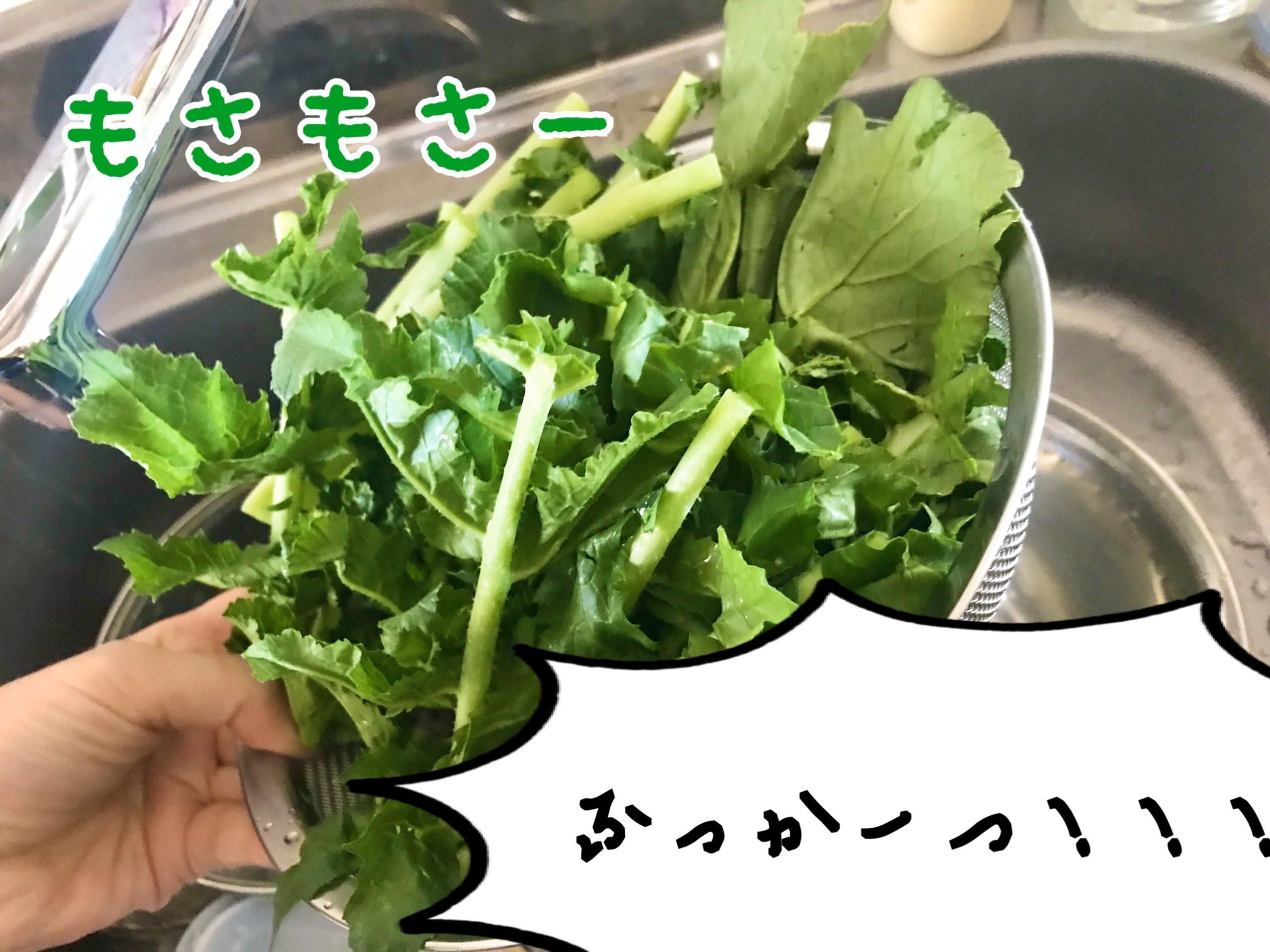 大根の葉レシピ