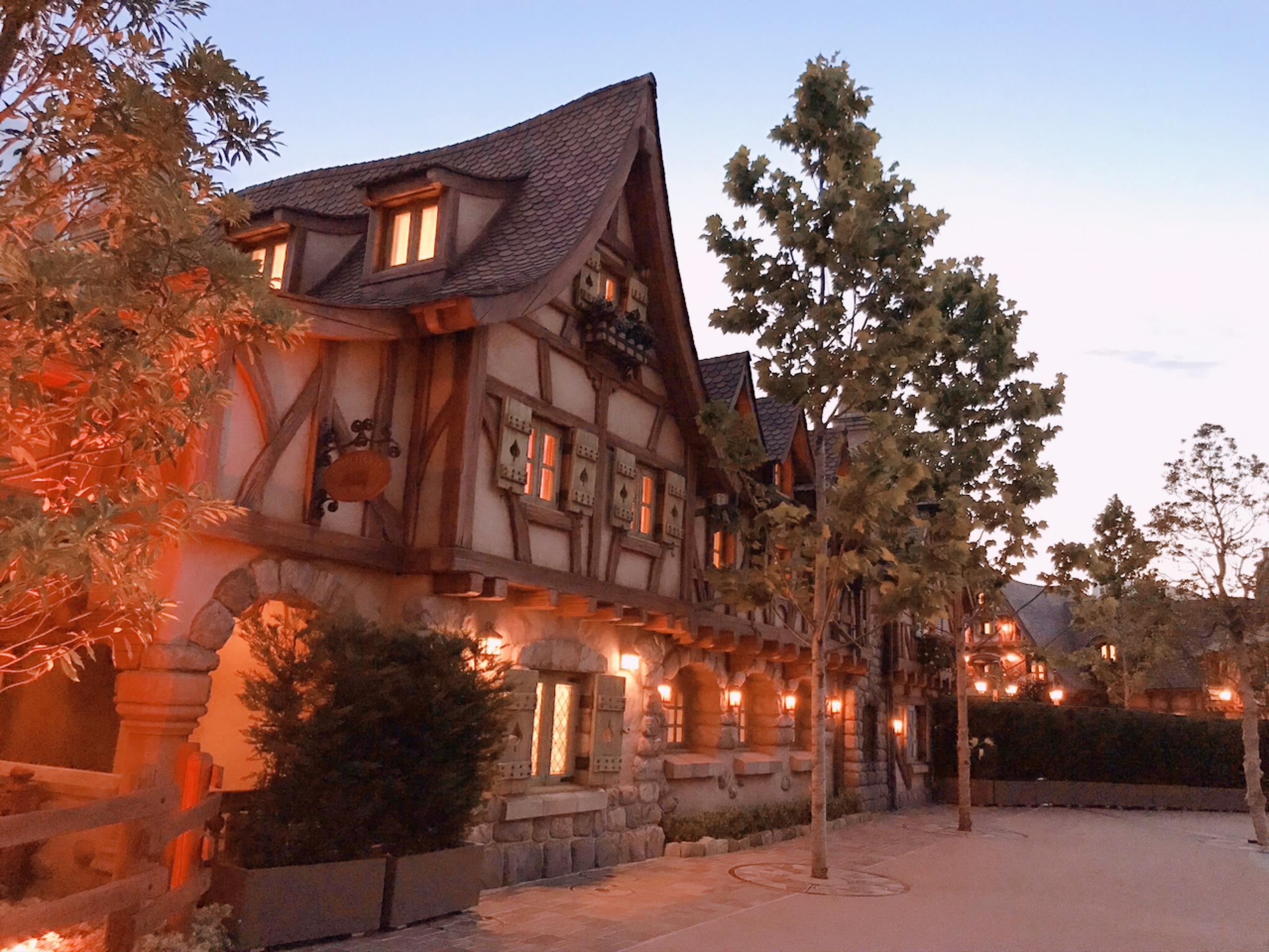 コロナ　ディズニーランド