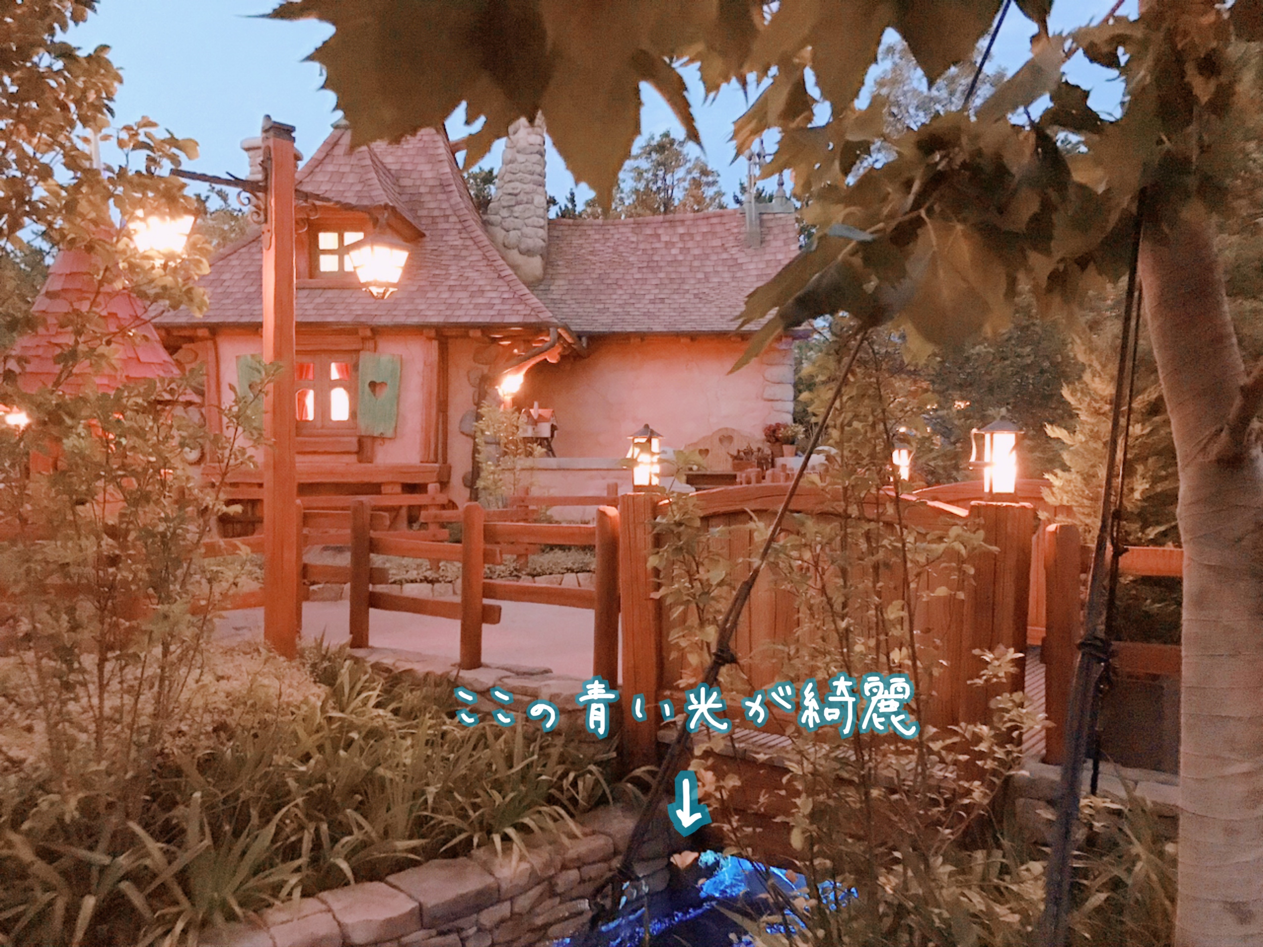 コロナ　ディズニーランド