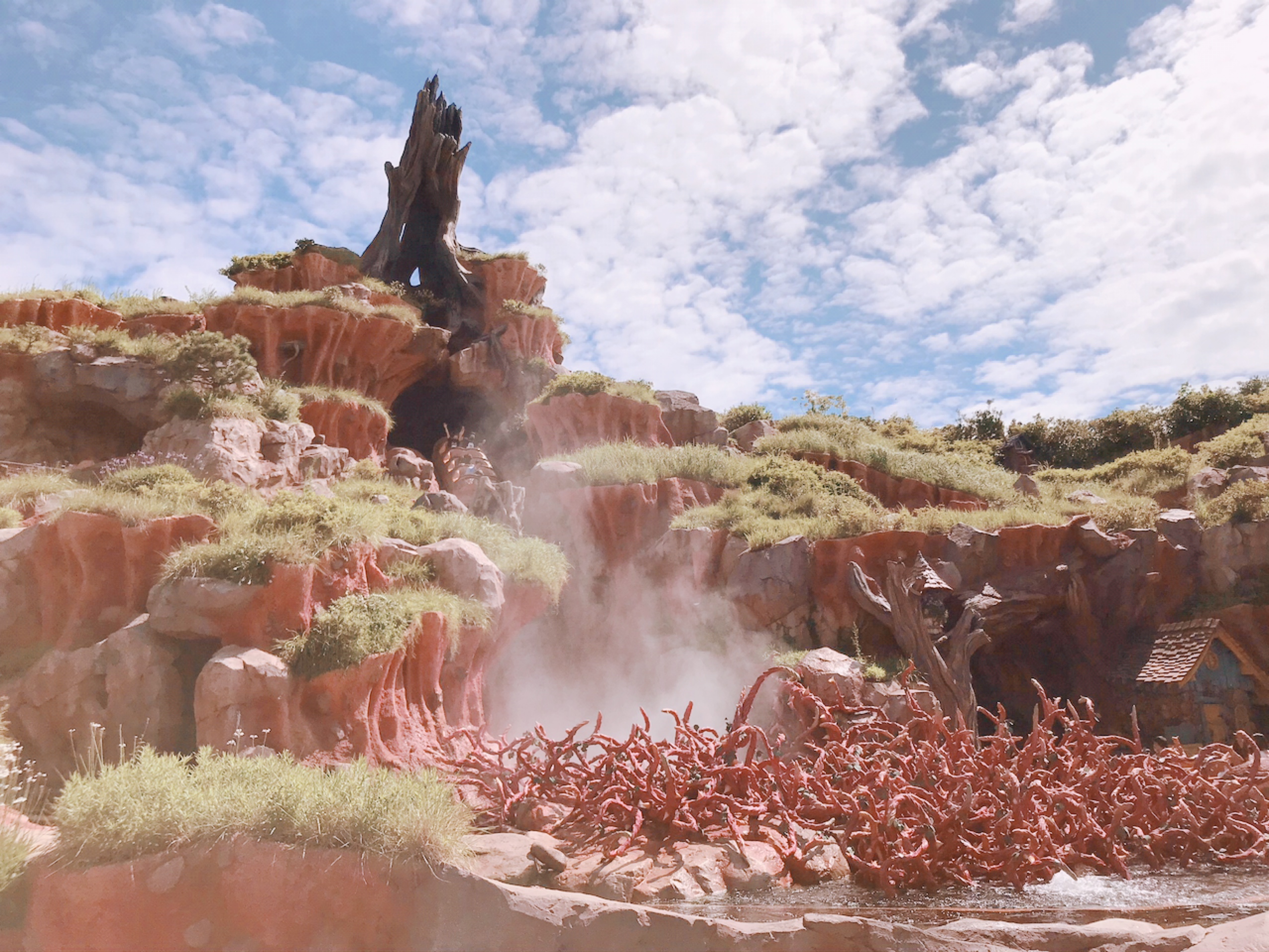 コロナ　ディズニーランド