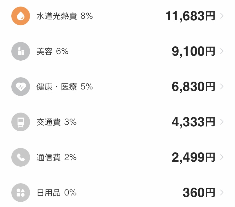 手取り14万円の家計簿