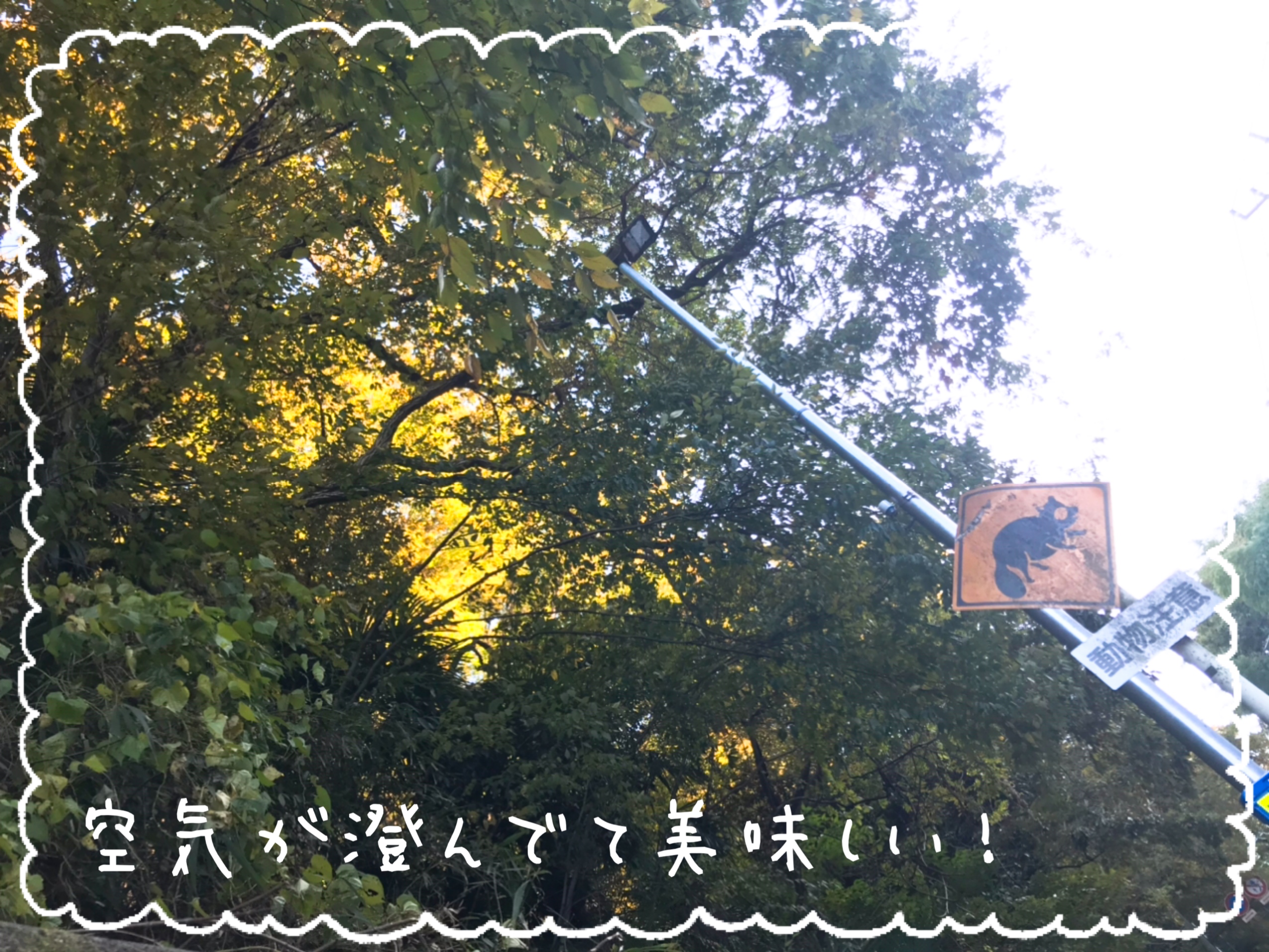 スピリチュアル開運法