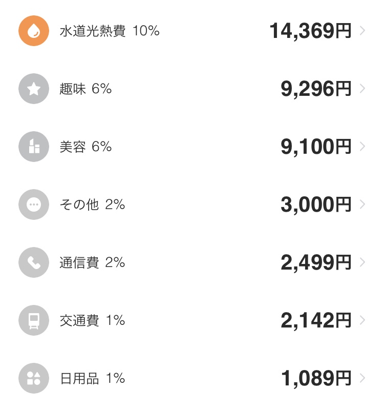 手取り17万円の家計簿
