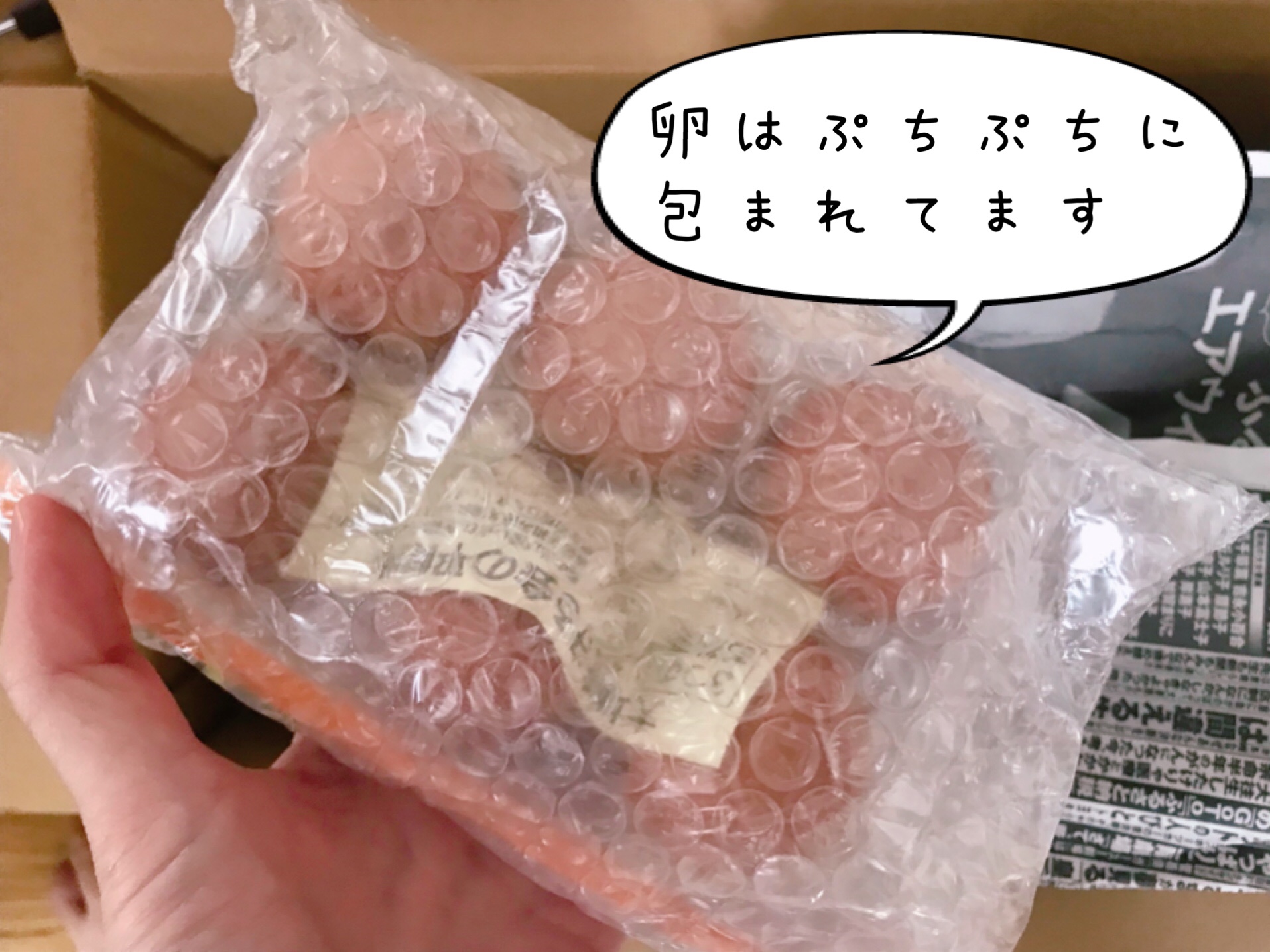 大地を守る会　お試しセット