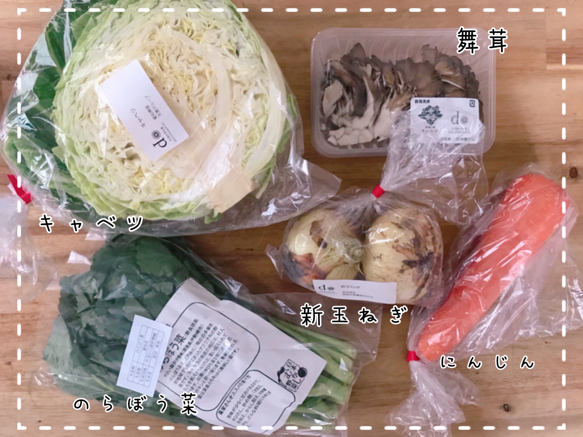 大地を守る会　お試しセット