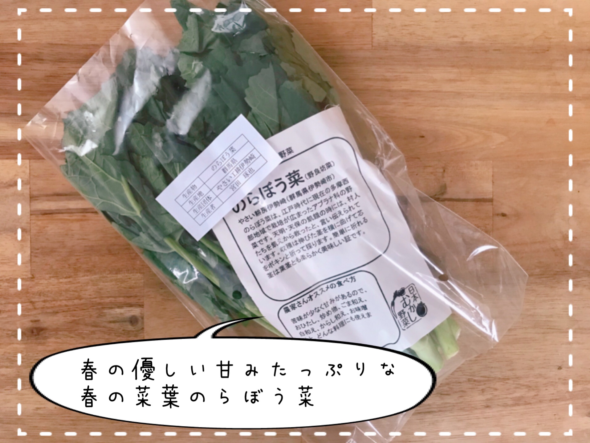 大地を守る会　お試しセット