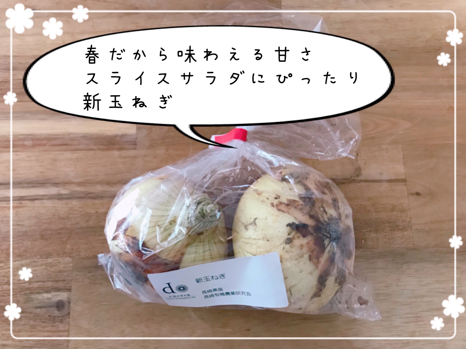 大地を守る会　お試しセット