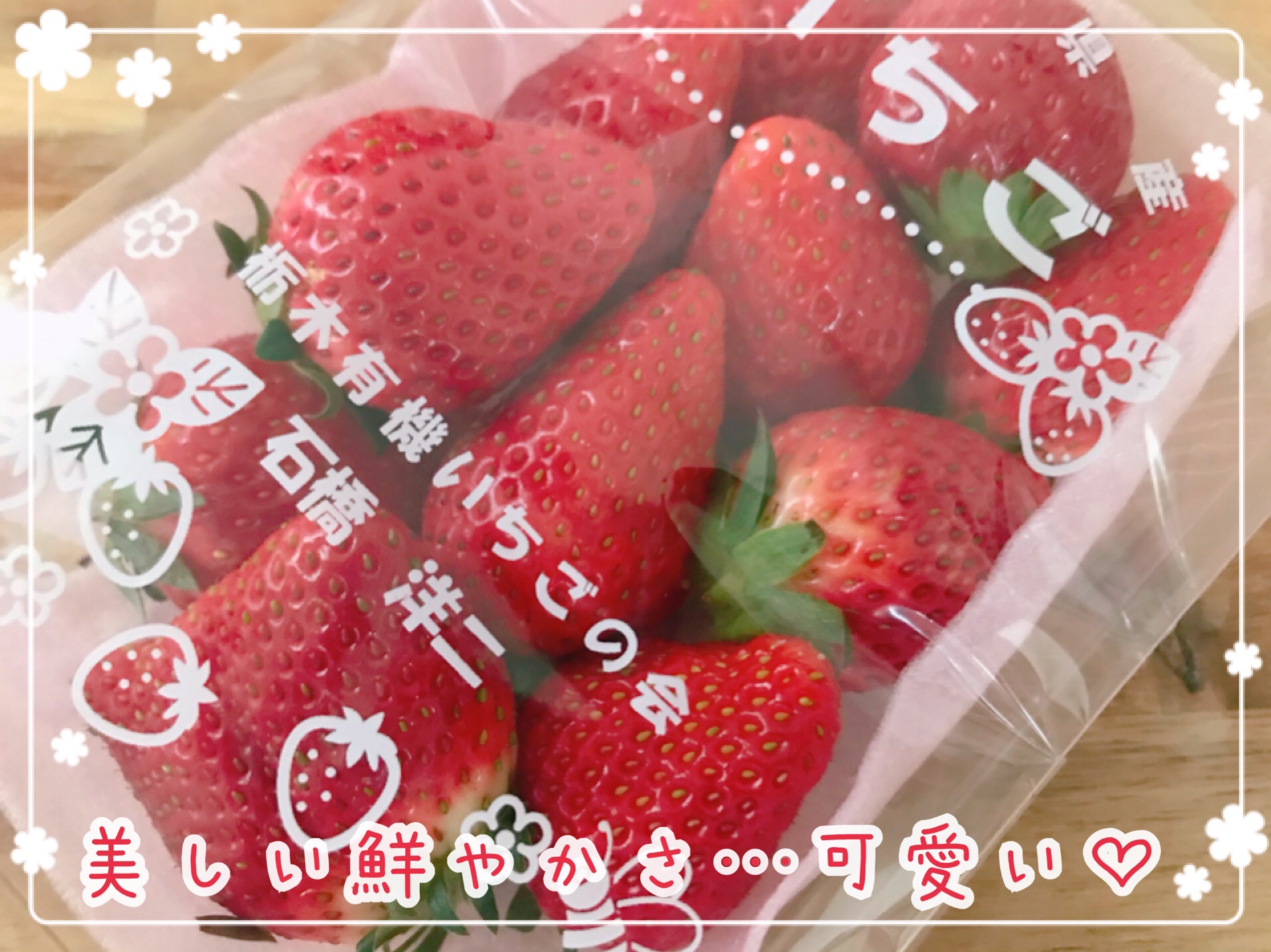 大地を守る会　お試しセット