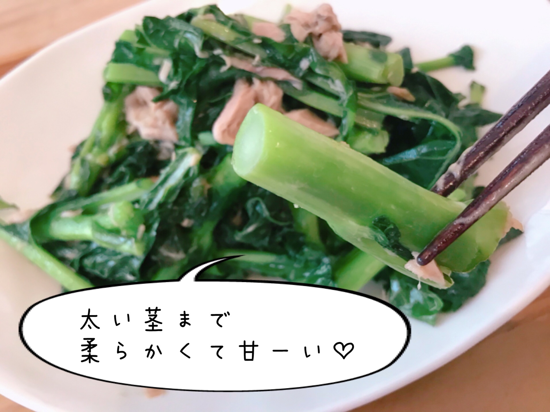 大地宅配　お試しセット