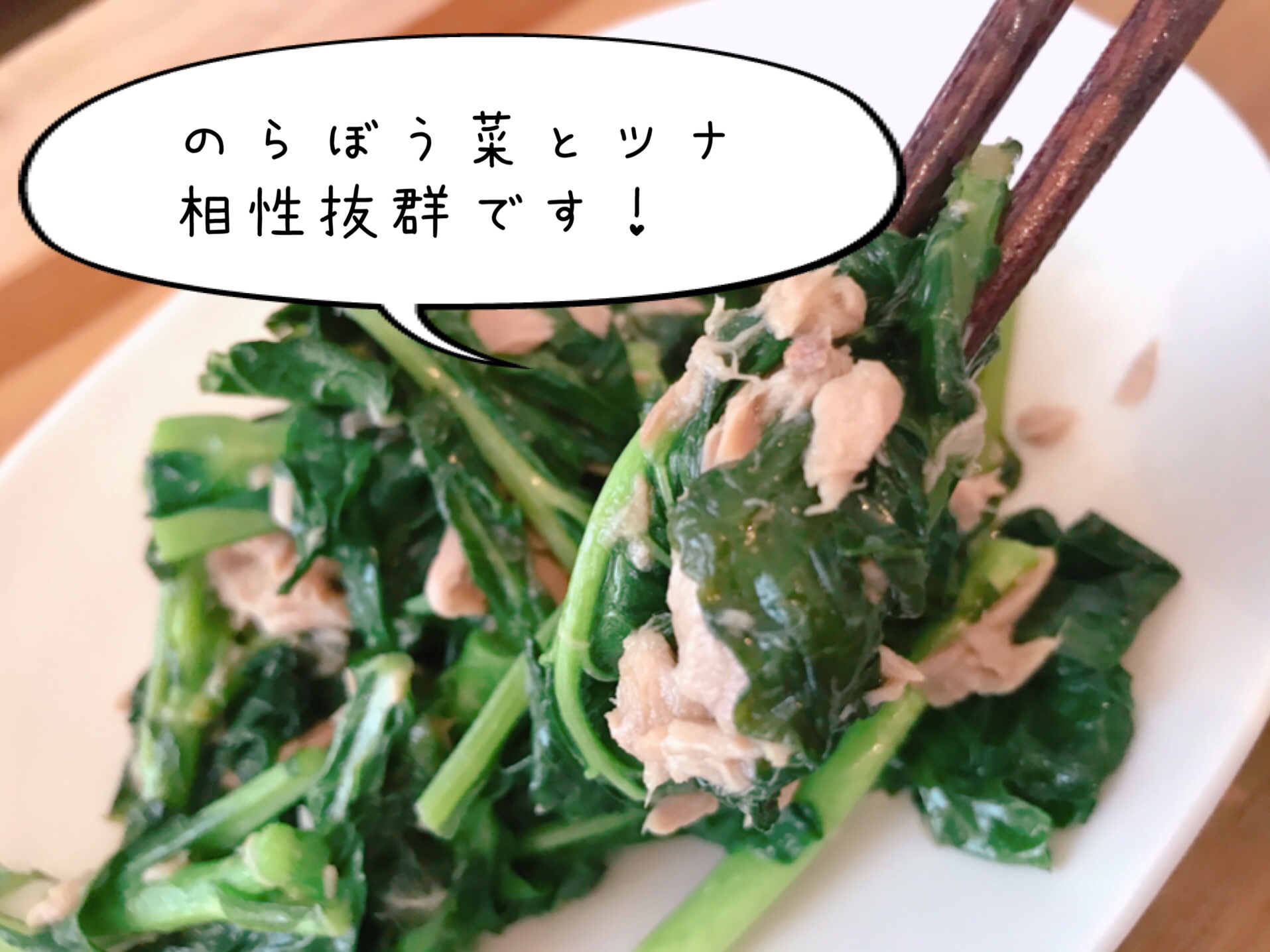 大地宅配　お試しセット