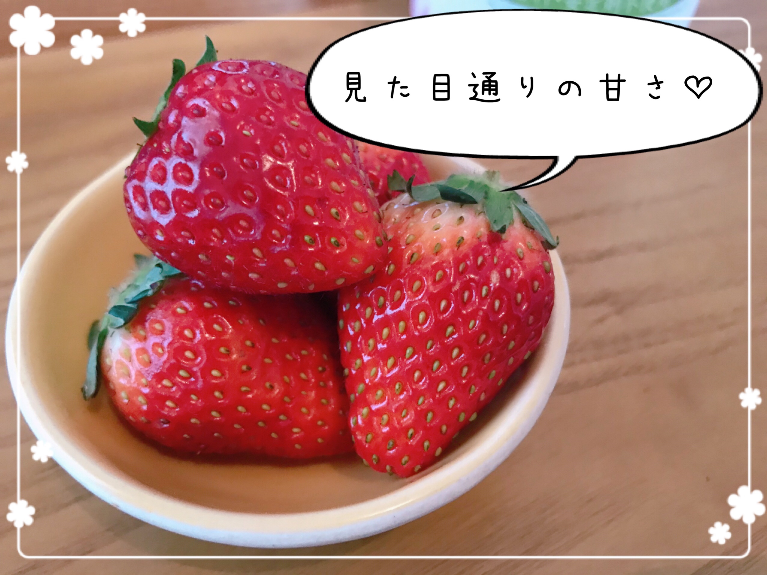 大地宅配　お試しセット