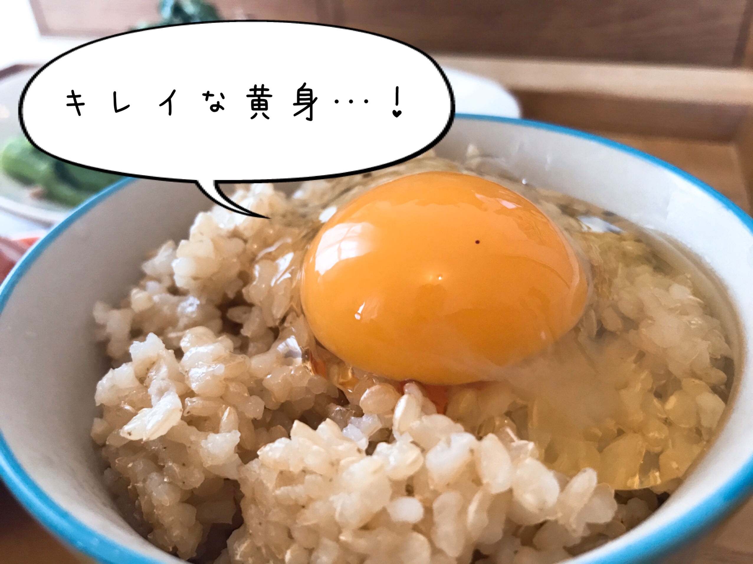 大地宅配　お試しセット