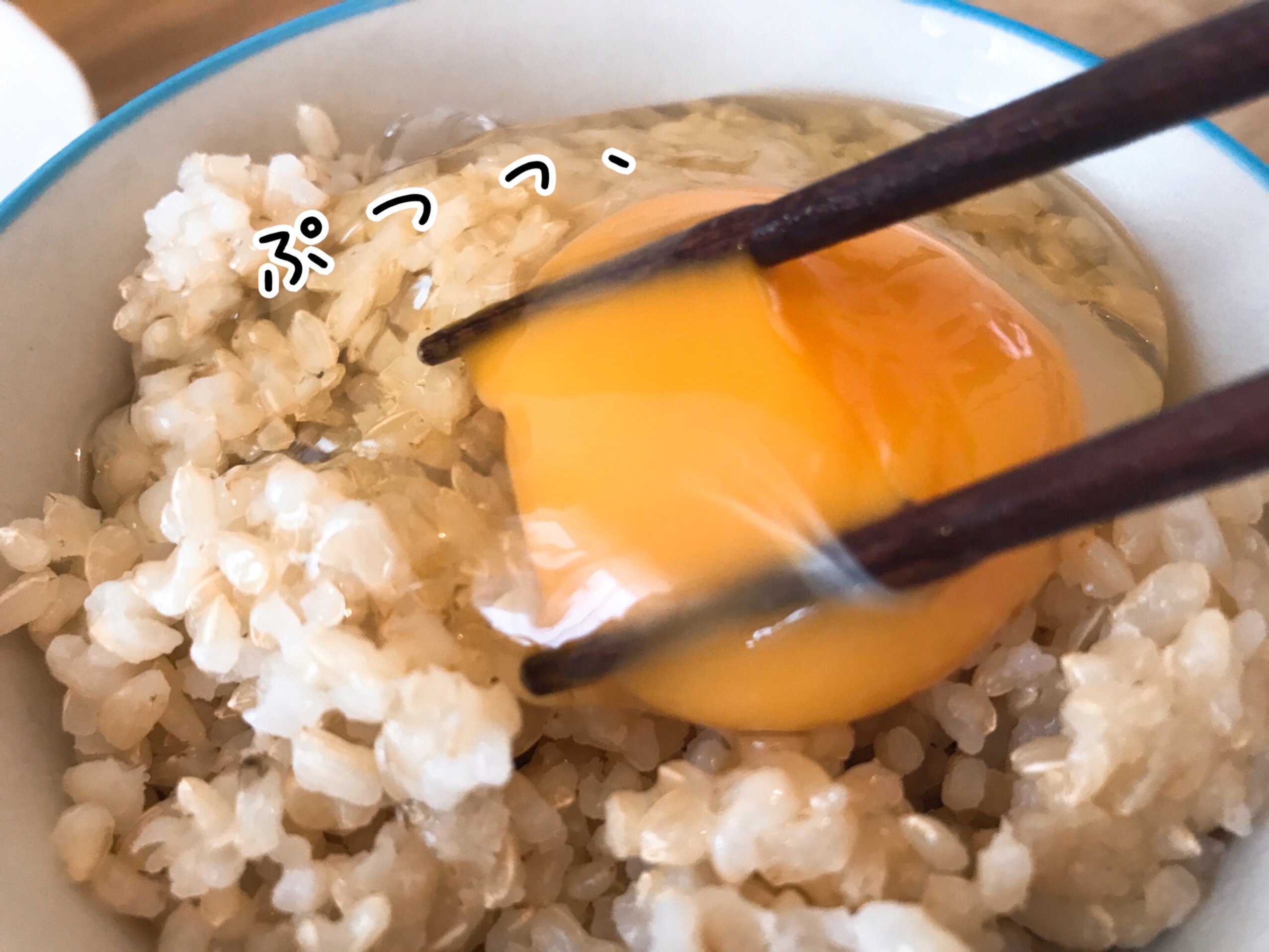 大地宅配　お試しセット