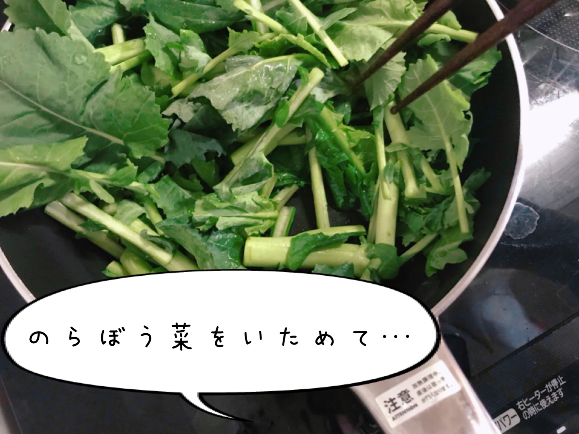 大地宅配　お試しセット