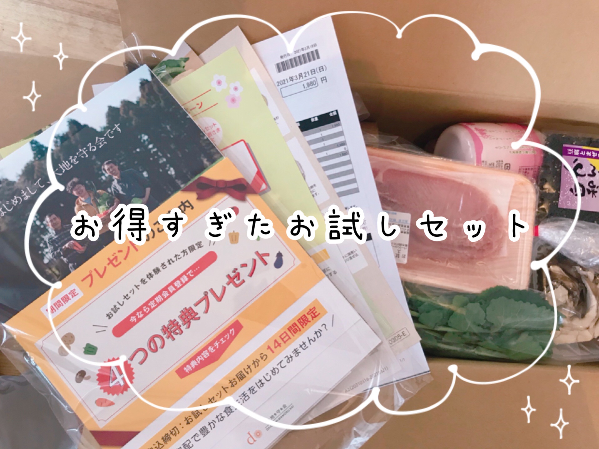 大地を守る会　お試しセット