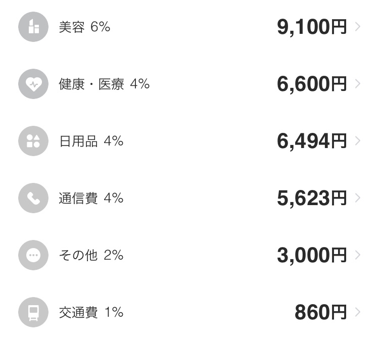 手取り16万円の家計簿