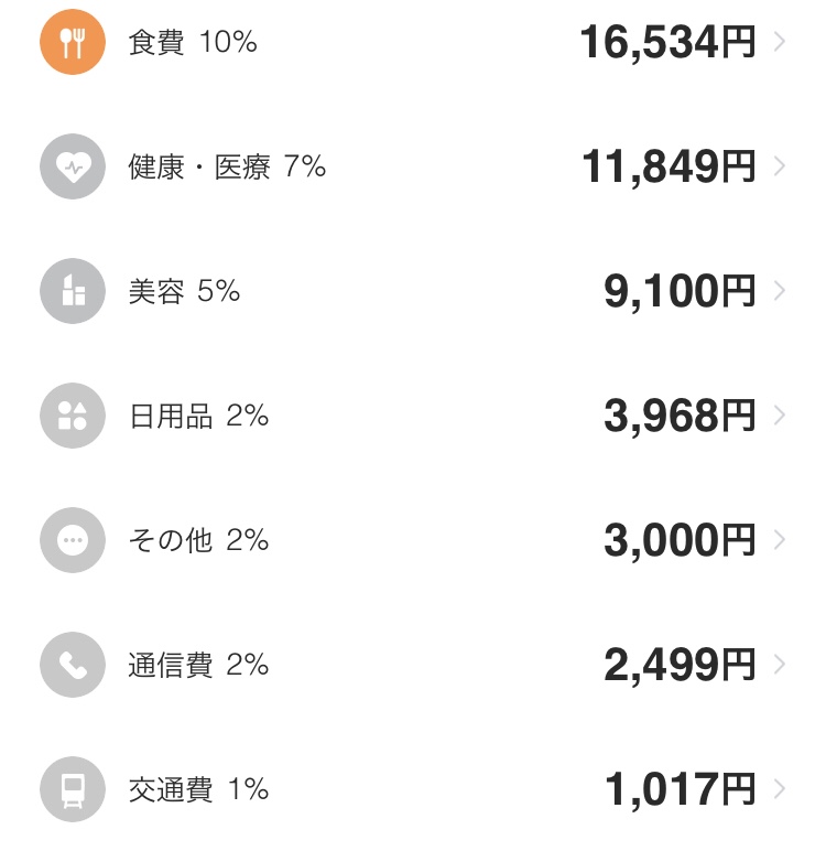 手取り17万円の家計簿