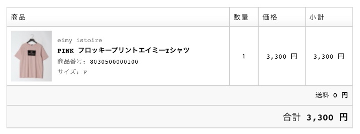 手取り17万円の家計簿