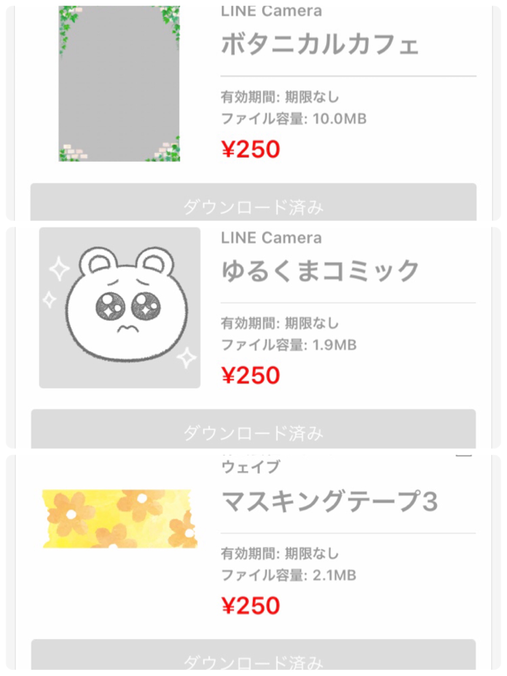 手取り17万円の家計簿