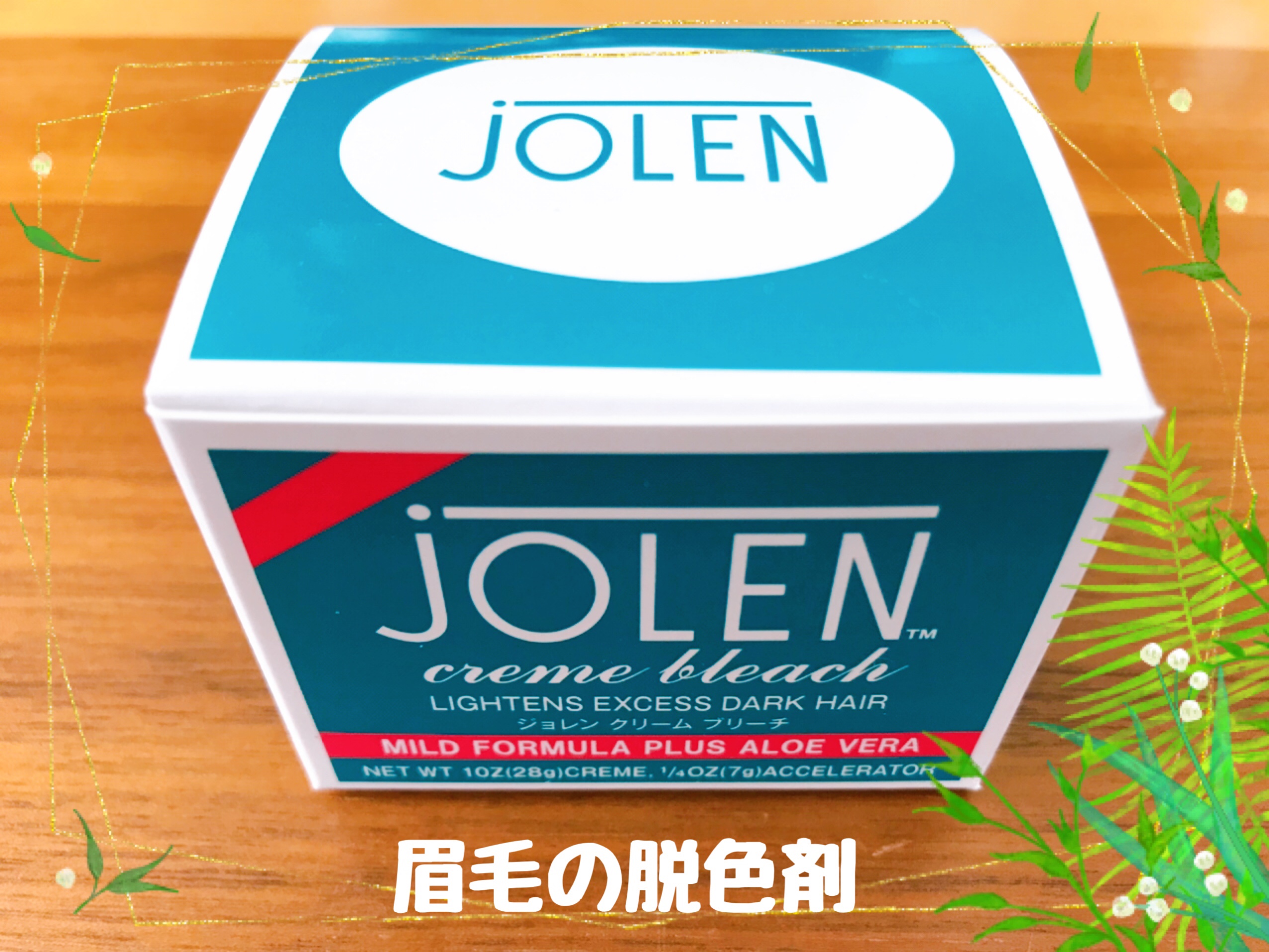 手取り17万円の家計簿