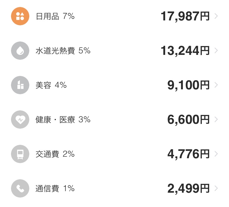 手取り17万円の家計簿