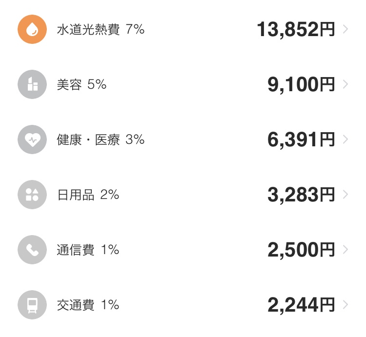 手取り20万円の家計簿