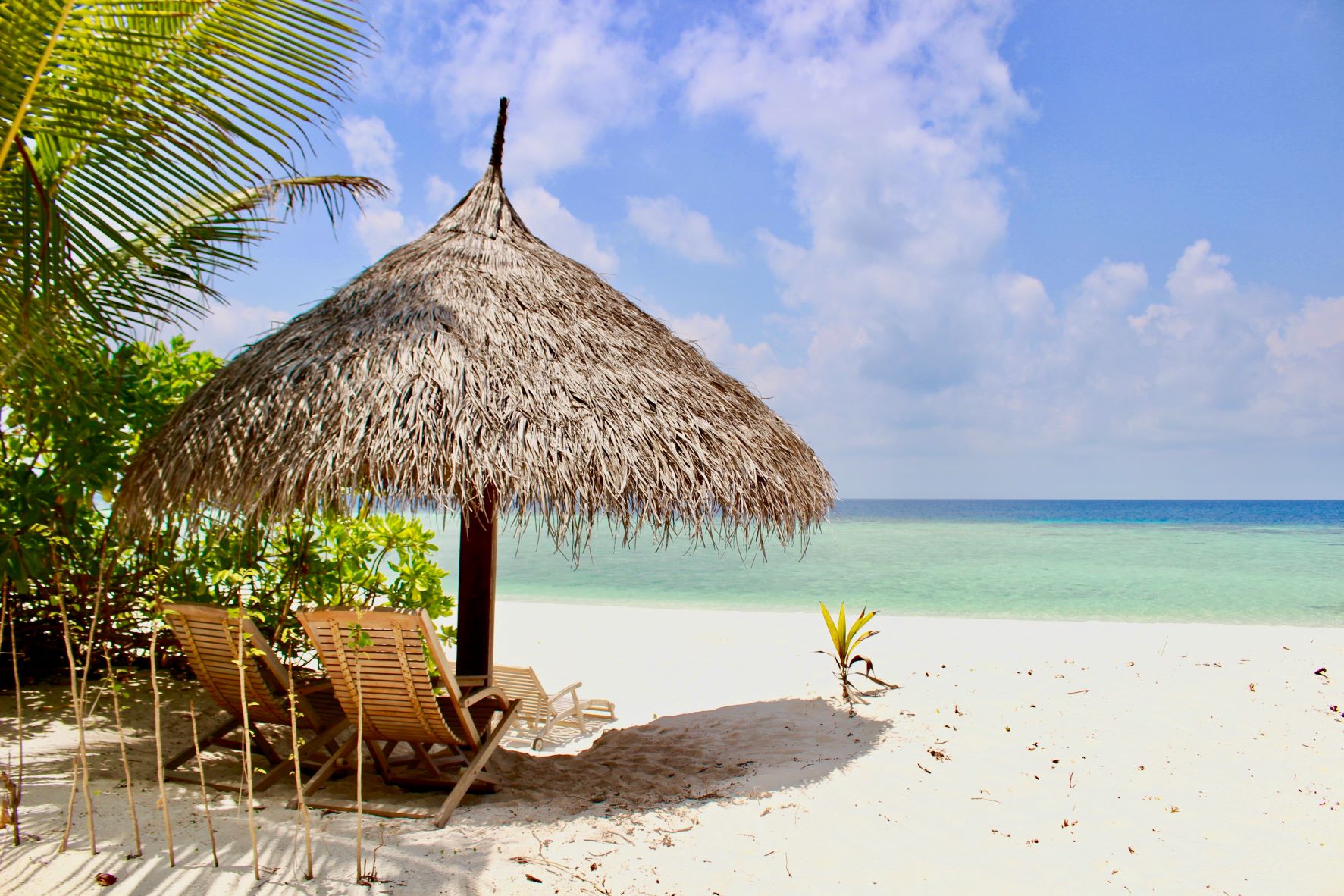 イルコルポ　ミネラルバスパウダー　口コミ