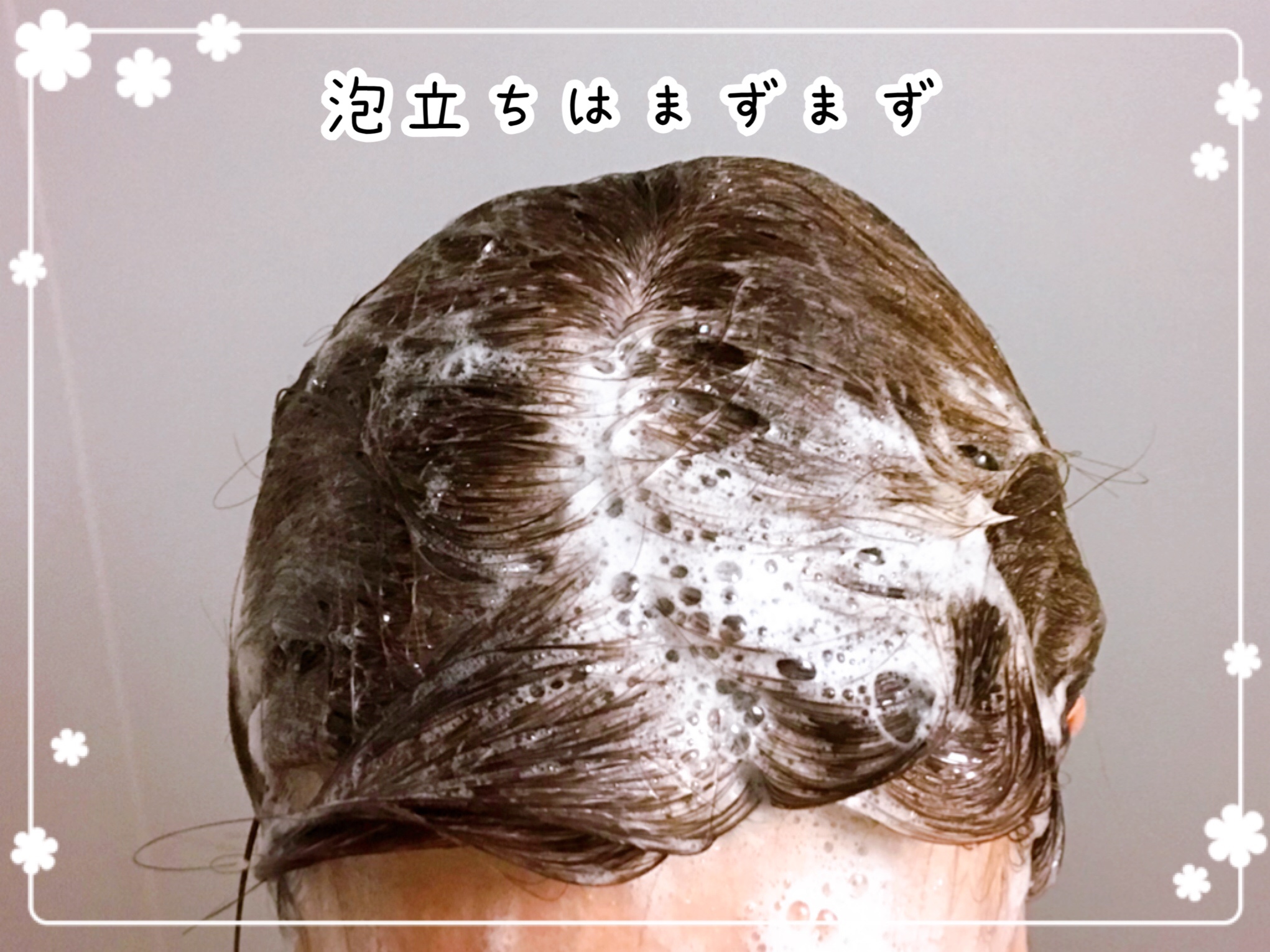 VINTORTE(ヴァントルテ)お試しセット