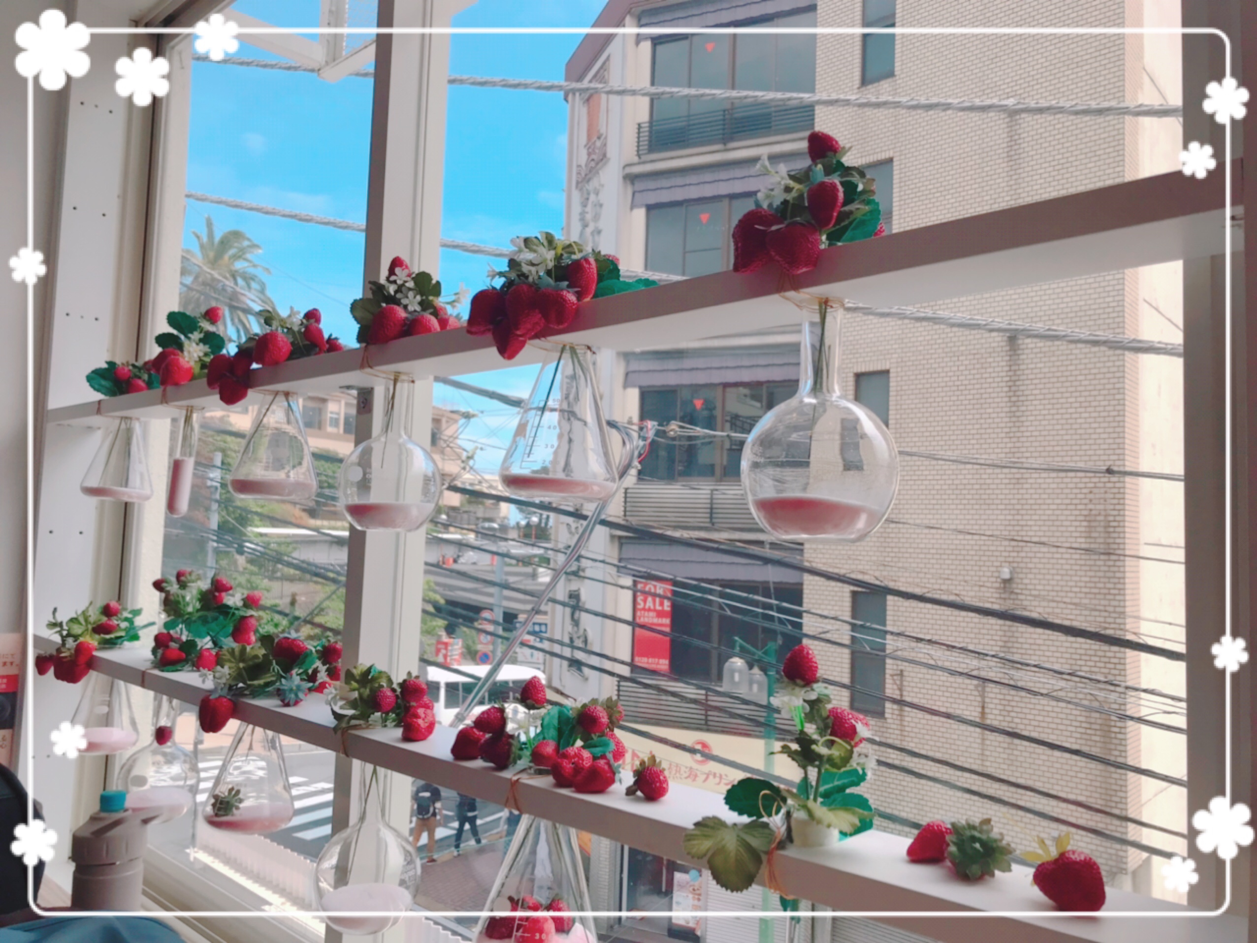 熱海旅行 窓辺のイチゴがカワイイ